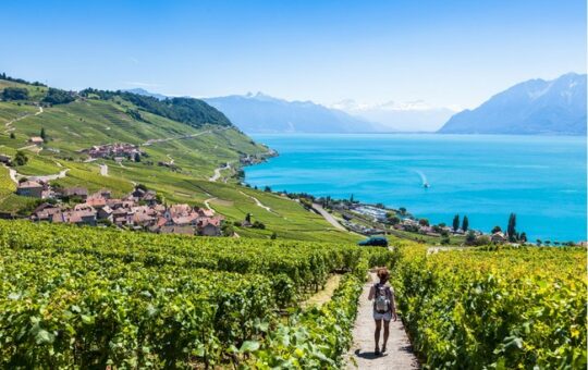 promeneur dans vignes au dessus lac avec montagne en fond