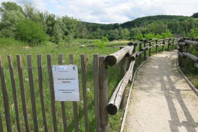 pont en bois en nature