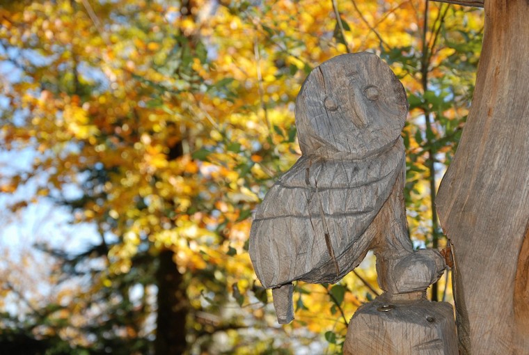 hibou en bois dans arbre